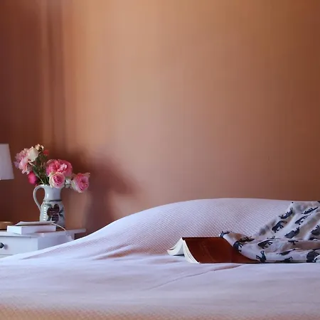 Maison Poche Bed and Breakfast 3*