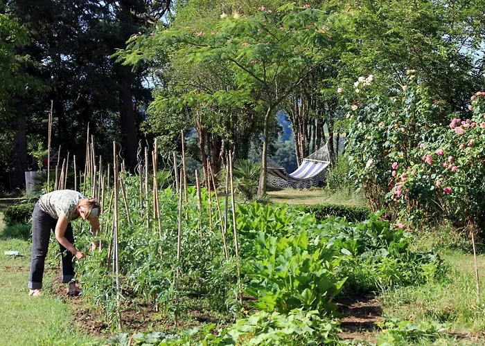 Maison Poche Caupenne-d'Armagnac