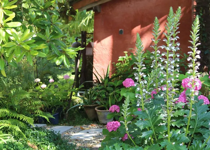 Maison Poche Bed and Breakfast Caupenne-d'Armagnac